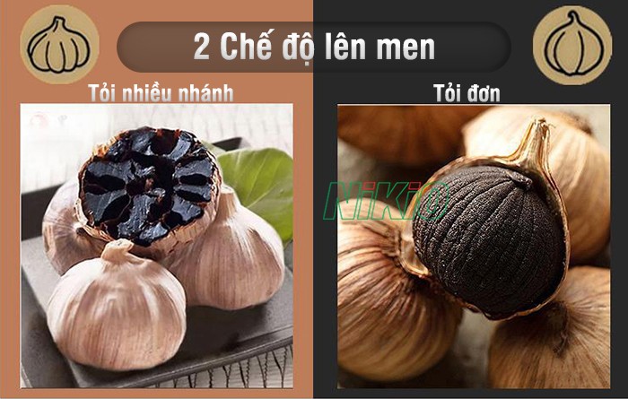 Máy làm tỏi đen  Nikio NK - 696 - Màu xám bạc