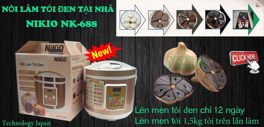 Máy làm tỏi đen gia đình