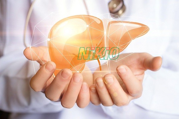 Ăn tỏi đen đúng cách sẽ có tác dụng giúp bảo vệ cho tế bào gan hiệu quả 