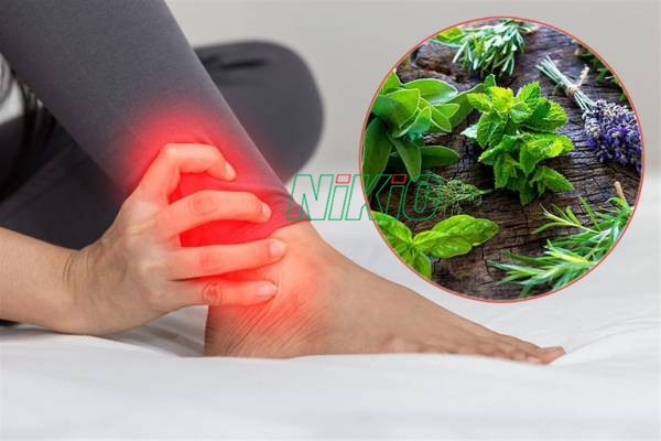 Căng cơ chân áp dụng bài thuốc đắp lá ngải cứu để giảm đau hiệu quả 