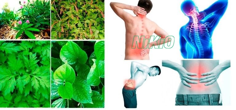 Chữa thoát vị đĩa đệm bằng thuốc dân gian an toàn và tiết kiệm chi phí