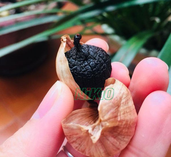 Tỏi đen có hàm lượng vitamin cao gấp 2 lần so với loại tỏi thông thường