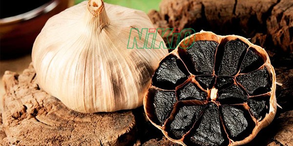 Tỏi đen ăn trực tiếp 1 đến 2 củ giúp cải thiện sức khỏe 