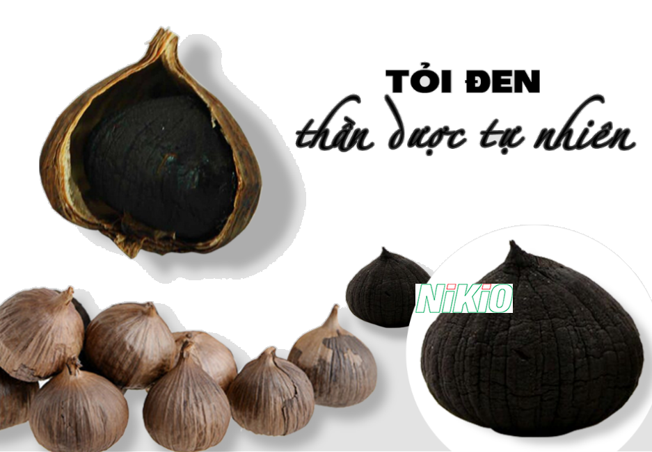 Tỏi đen có hàm lượng dinh dưỡng cao giúp kiểm soát huyết áp rất tốt 