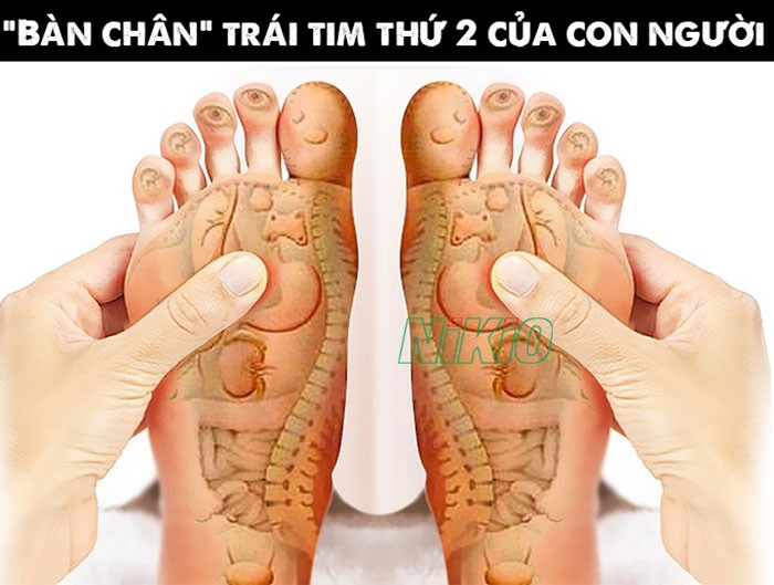 Xoa bóp 2 chân vuông góc với đùi giúp ngủ ngon tốt cho sức khỏe người già