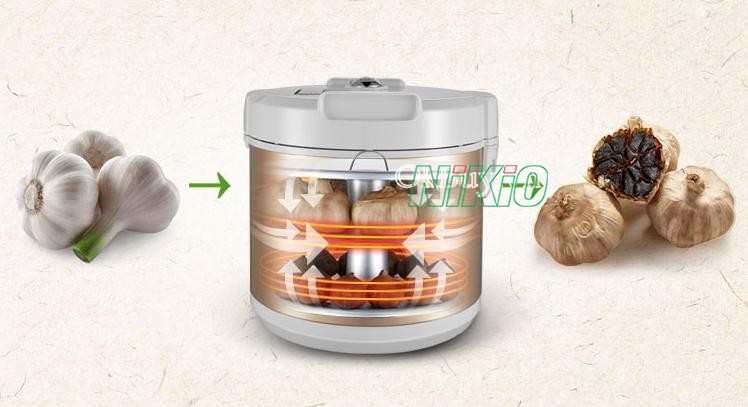 Lợi ích khi sử dụng máy làm tỏi đen