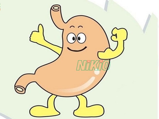 Máy massage cầm tay giúp tiêu hóa thức ăn
