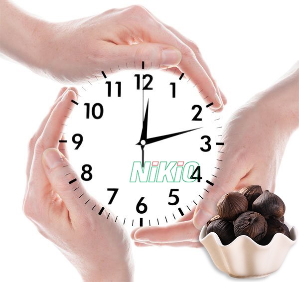 Máy làm tỏi đen loại nào tốt nhất